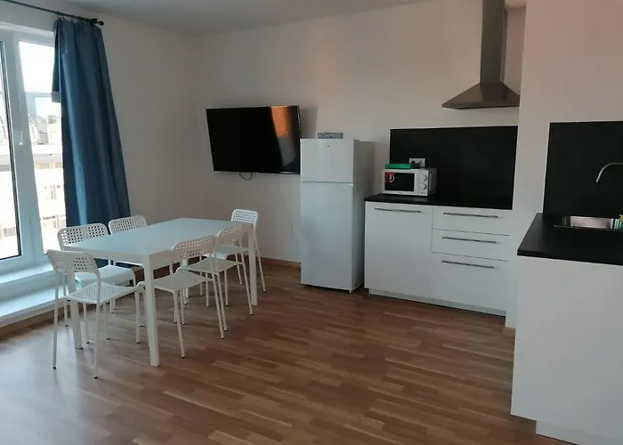 One Bedroom Penthouse # 82 In The Brand New Building Close To The Center With Free Parking Appartement