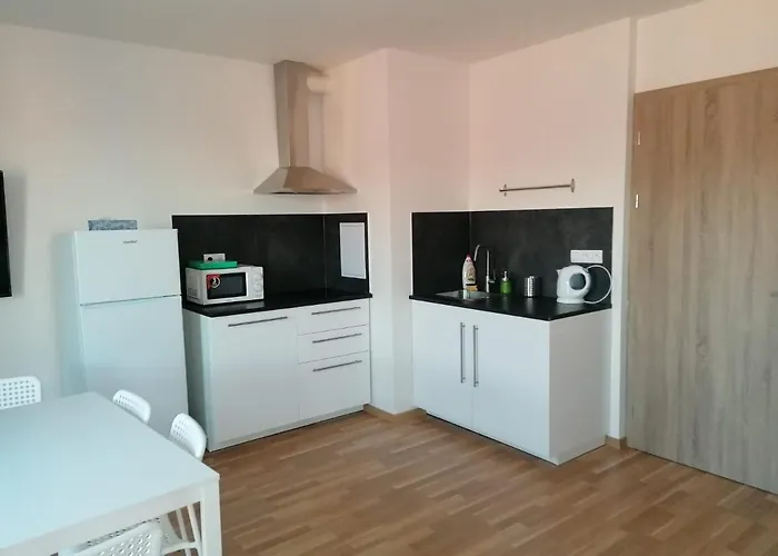 One Bedroom Penthouse # 82 In The Brand New Building Close To The Center With Free Parking *